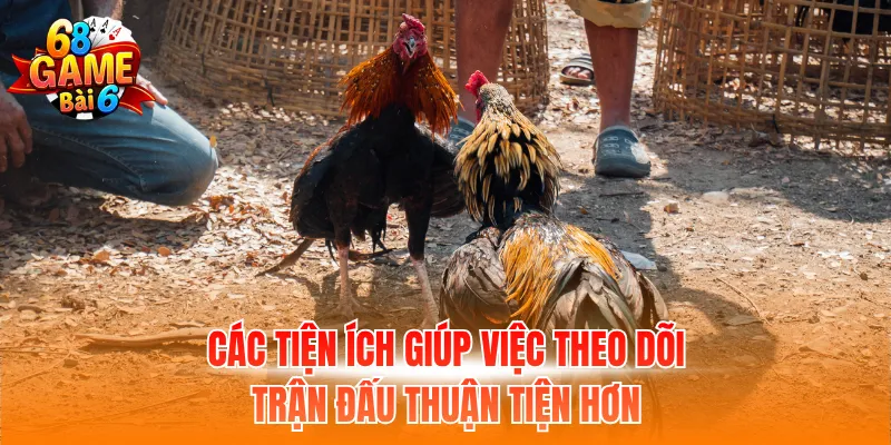 Các tiện ích giúp việc theo dõi trận đấu thuận tiện hơn