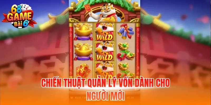 Chiến thuật quản lý vốn dành cho người mới