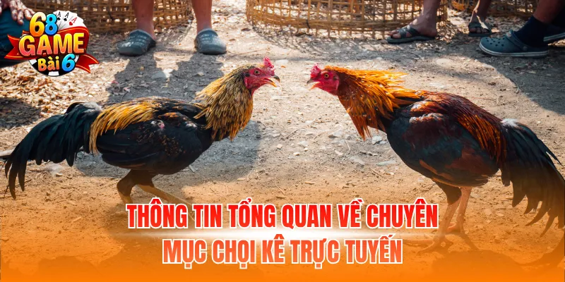 Thông tin tổng quan về chuyên mục chọi kê trực tuyến