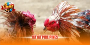 Đá Gà Philippines